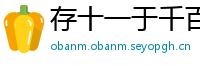 存十一于千百网